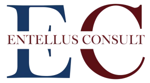 ENTELLUS_CONSULT_07-01