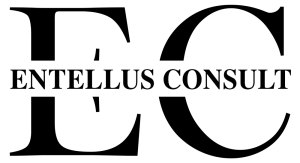 ENTELLUS_CONSULT_09-01